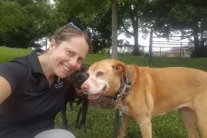 Beltway Dog Training