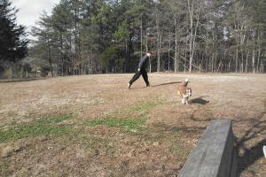 Southwest Park Dog Park