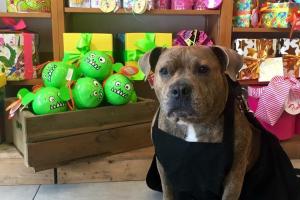 LUSH Cosmetics Austin