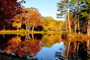 Mead Memorial Park
