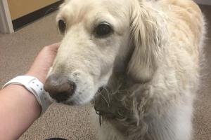 Stonybrook Therapeutic Massage, LLC.