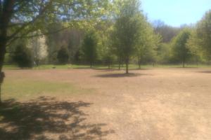 Greenway Farm Dog Park 