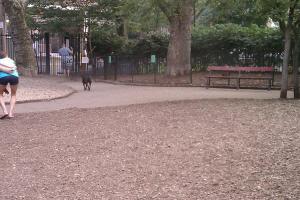 Seger Dog Park