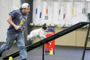 Queen City Dog Training Club