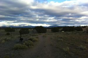 Santa Fe Animal Shelter Dog Park