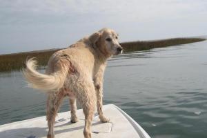 Adventure Harbor Tours