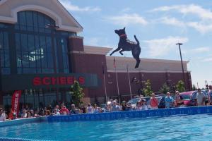 Scheels