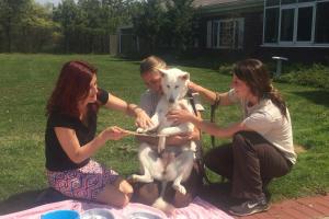 Pawcasso Art Studio and Pet Boutique