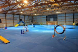 True Connections Canine Academy