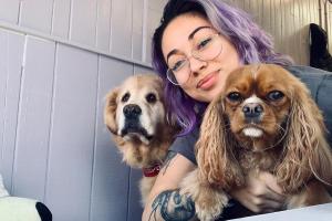 Lex Pets Grooming and Services