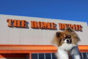 The Home Depot