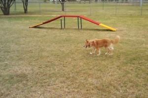Hogan's Run Dog Park