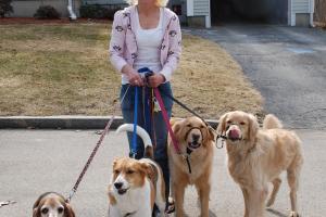 Teacher's Pet Sitting Services