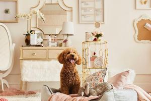 HomeGoods