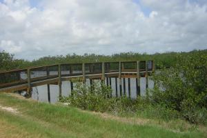 Wildcat Cove Preserve & Dog Park