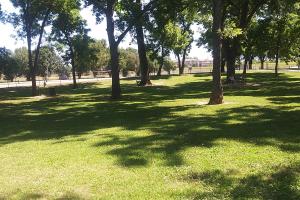 Bark West Dog Park