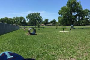 Willow Creek Park