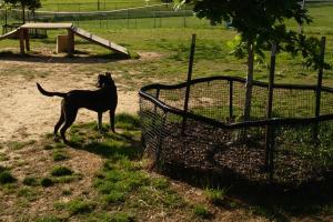 Memphis Dog Park