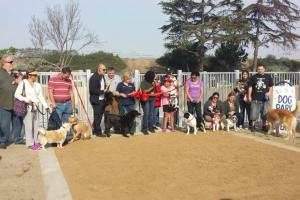South Gate Dog Park at Hollydale Regional Park
