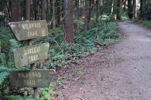 Wildwood Trail, Forest Park