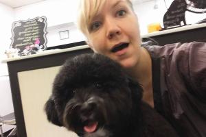 Top Dog Grooming Shop & Pet Supplies