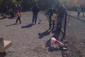 Bark Dog Park