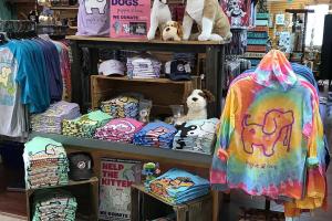 Kitty Hawk Kites