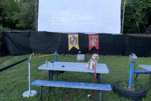 Blue Starlite Mini Urban Drive-In