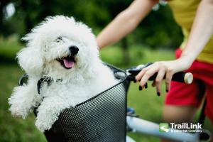 Sligo Creek Trail