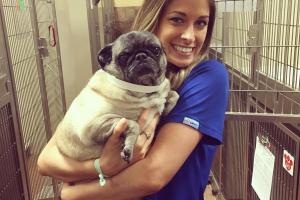 PetsHotel Long Beach