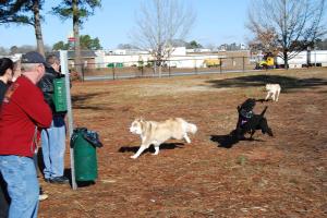 Benson Dog Park