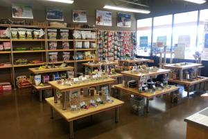 Pet Planet Mountainside Plaza Ahwatukee