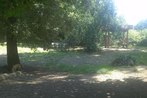 Happy Tails Dog Park at Templin Beach Park