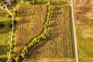 Brownsburg Corn Maze and Pumpkin Patch