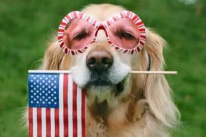 Pawsh Pet Salon & Spa