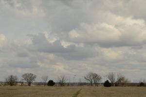 Mutt Run Off Leash Dog Area