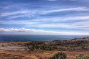 Trancas Canyon Dog Park
