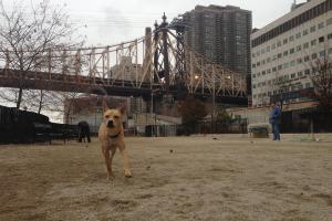 East River Park Esplanade