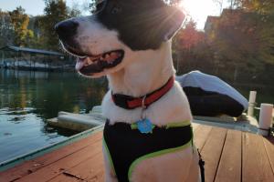 Lake Keowee Boat Rentals