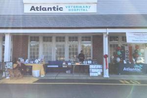 Atlantic Veterinary Hospital