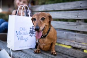 Olde Mistick Village