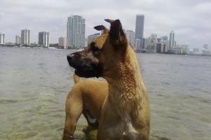 Hobie Island Beach Park