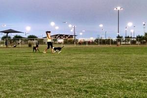 Pioneer Community Park: Dog Park