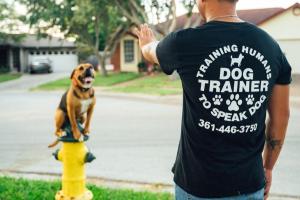Elite K-9