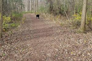 Stigler Nature Preserve