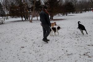 Whitney Park Dog Park