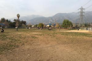 Alice's Dog Park at Vina Vieja Park