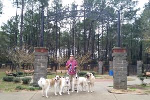 Julien Marx Dog Park at Medal of Honor Park