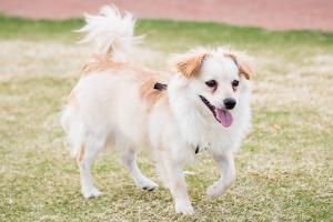 Purple Heart Park - Ivan's Spot