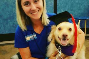 PetSmart Training